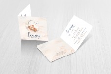 Beertje is op de maan